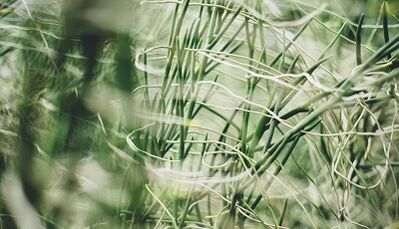 Kā ar savām rokām izgatavot veiksmes amuletu