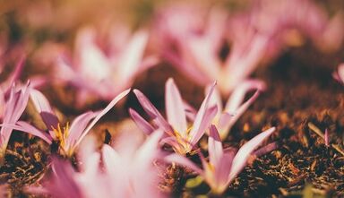 kā ar savām rokām izgatavot veiksmes amuletu